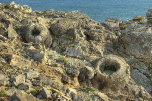 Fossilised remains of a forest in Lulworth, Dorset