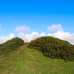 The gorse-covered tumulus at Swyre Head, Purbeck