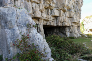 Berries in front of quarry cave entrance at Winspit
