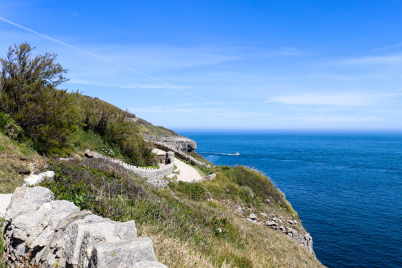Part of the cliff walk path at Durlston, near to the Tilly Whim caves entrance