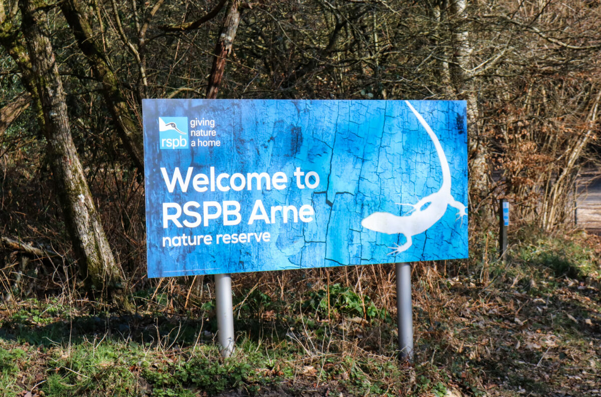 Blue and white Welcome to RSPB Arne sign at entrance to the reserve