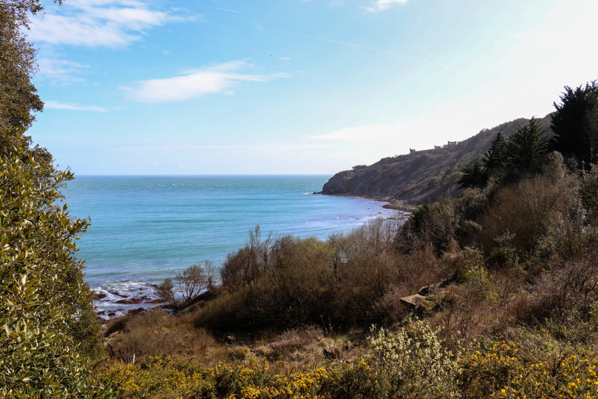 Durlston Bay from the bridge on the woodland path to Durlston Country Park