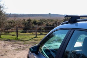 Car with roof rack facing toward Purbeck heathland and hills