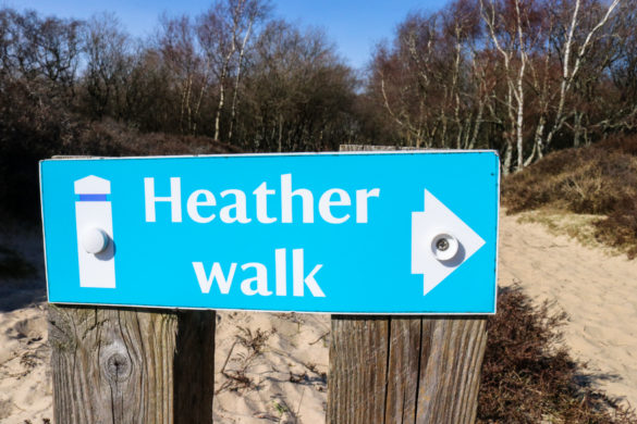 Blue and white sign for Studland Heath heather walk