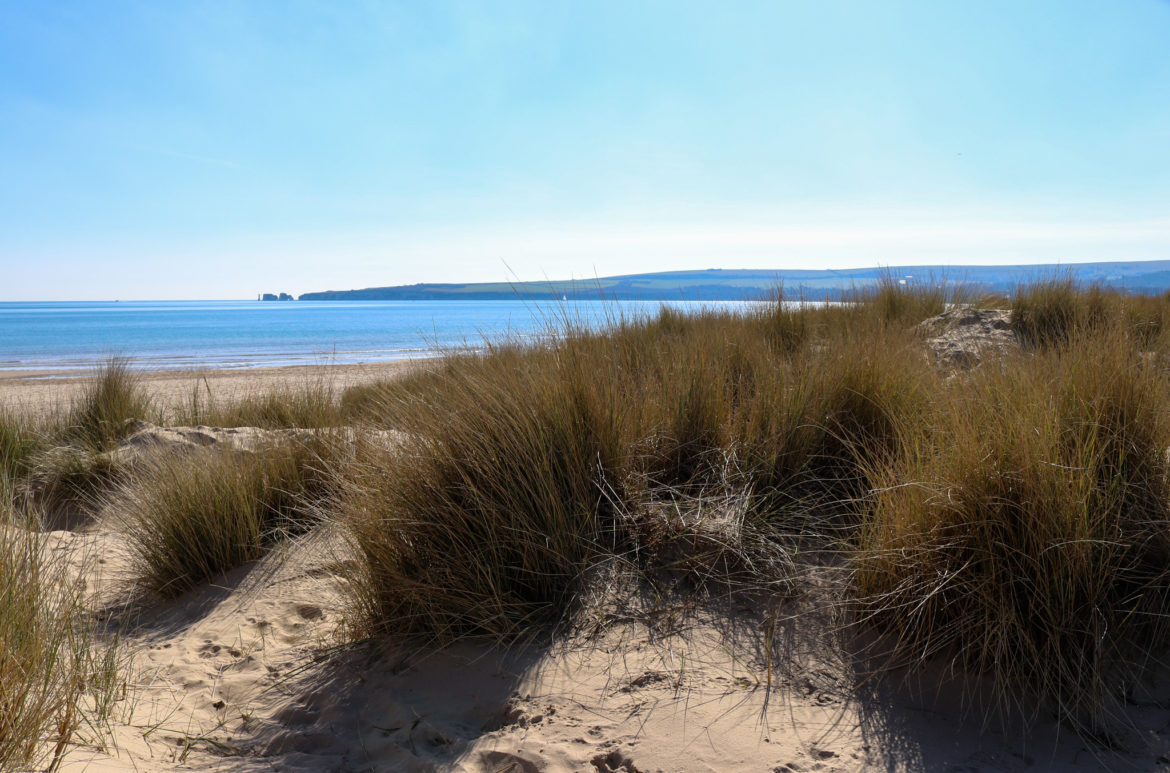 Sand dunes at Studland Naturist Beach, looking across the sea to Old Harry Rocks
