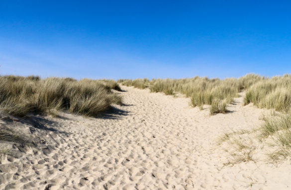 Sand dunes and blue sky at Studland Naturist beach