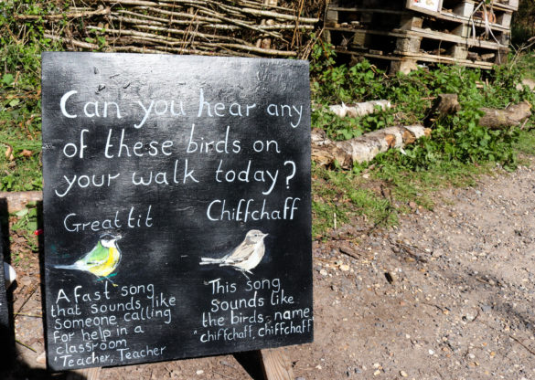 Information board at Arne for the Great Tit and Chiffchaff birds