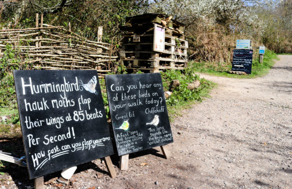 Informative blackboards about birds and their calls on the path at Arne