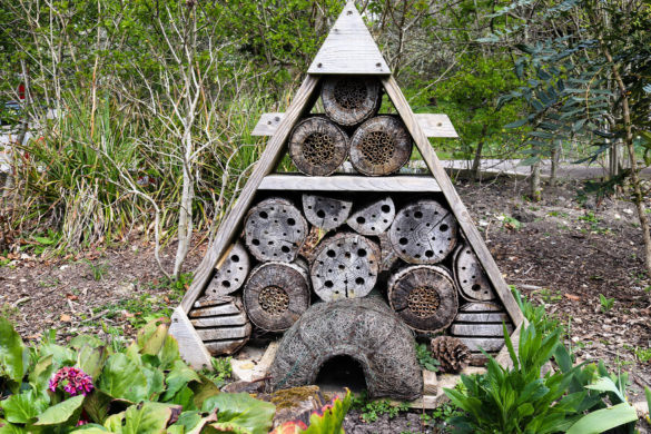 Insect 'hotel' in the garden of the café at Arne