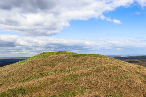 The summit of Creech Barrow hill