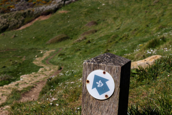 National Trust walking route marker for Dancing Ledge