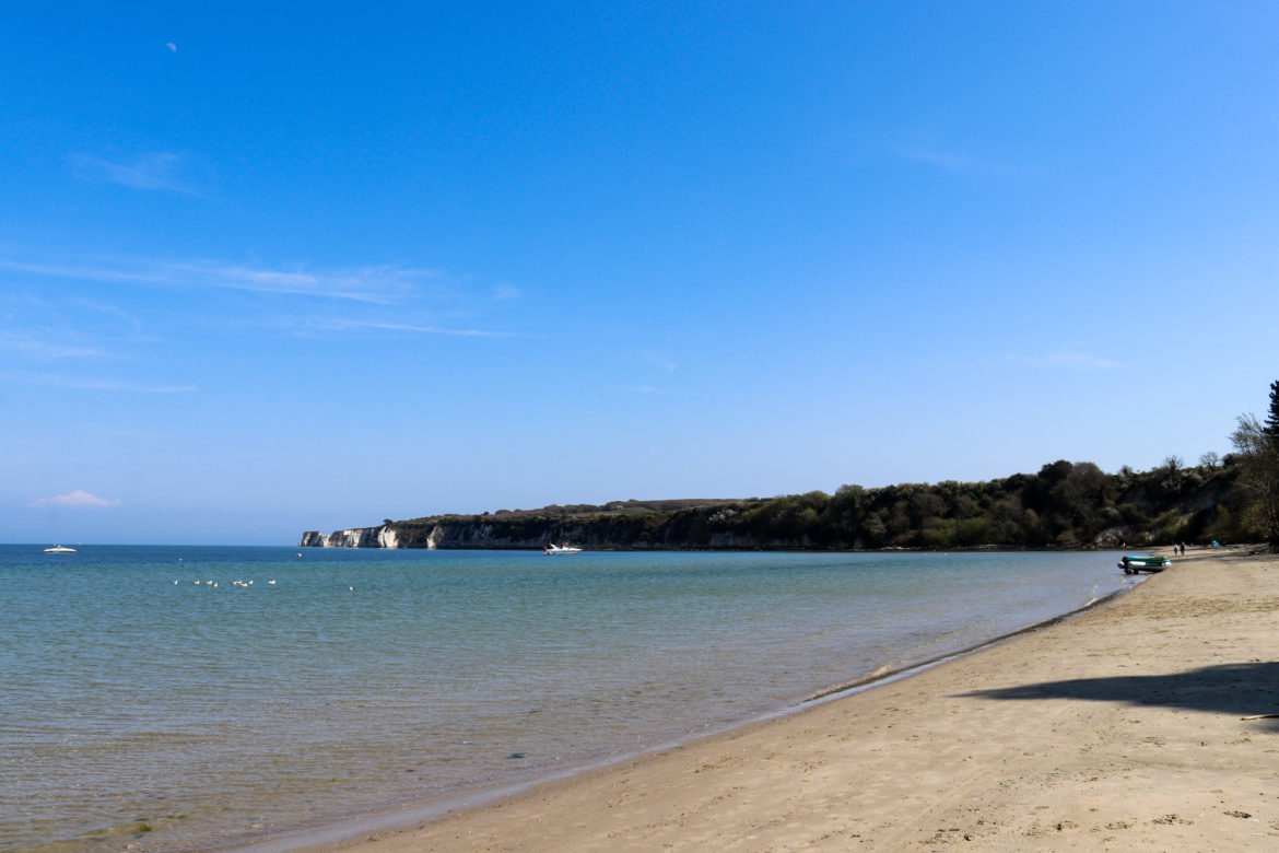 Old Harry Rocks in the distance and birds on the sea at South Beach, Studland