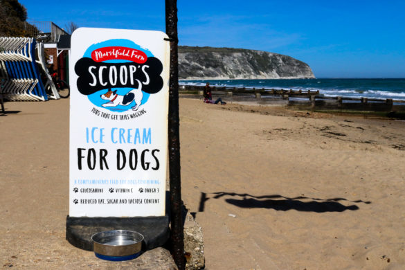 Scoops Ice Cream for dogs outside The Cabin on Swanage Beach
