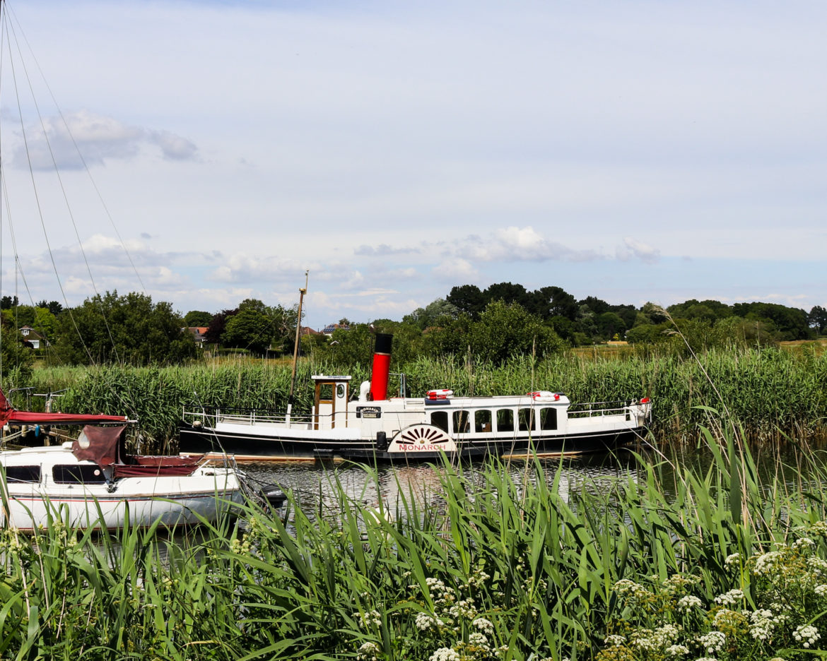 The Monarch paddles steamer on the River Frome in Wareham