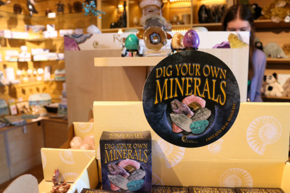 Dig Your Own Minerals in the Durlston Castle shop