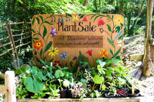 Painted 'Plant Sale' sign outside the volunteer shed at Durlston Country Park