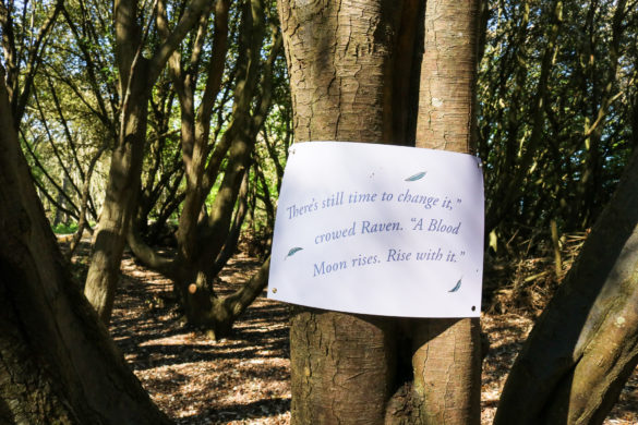 Quote from The Woodland Clan story, Durlston