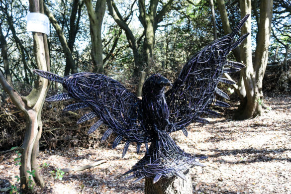 Woodland Clan activity trail at Durlston Country Park