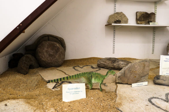 Model iguanodon in the reptile display section of the Corfe Castle village museum