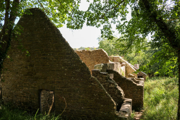 What remains of The Row cottages, Tyneham