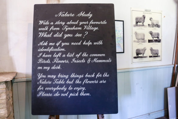 Blackboard on exploring nature on display at the Tyneham school exhibition