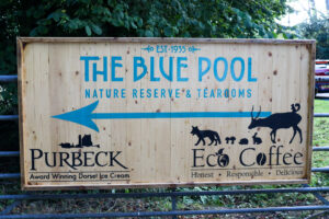 Purbeck Ice Cream and Eco Coffee for sale at The Blue Pool Tearooms
