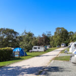 Motorhomes and camping pitches at Corfe Castle Camping & Caravan Club site