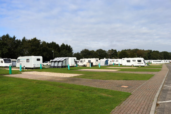 Hardstanding caravan pitches by the trees at Birchwood Tourist Park