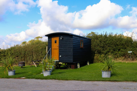 Glamping shepherd hut at Woodyhyde Campsite near Swanage