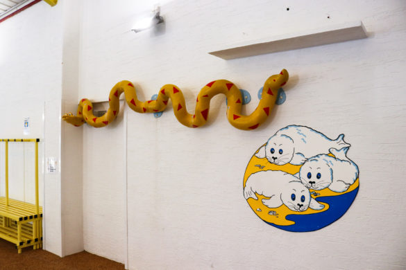 Kids' fun snake float at Ulwell Holiday Park's swimming pool
