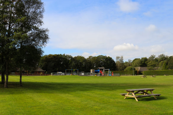 Large field area with picnic benches next to the children's playground at Wareham Forest Tourist Park