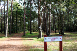 Sign in the woods at Wareham Forest Tourist Park for the dedicated dog exercise area