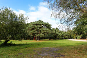 Trees and open grassy space for camping pitches at Burnbake campsite
