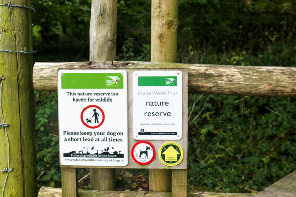 Dorset Wildlife Trust signage and notice to keep your dog on a lead in East Creech