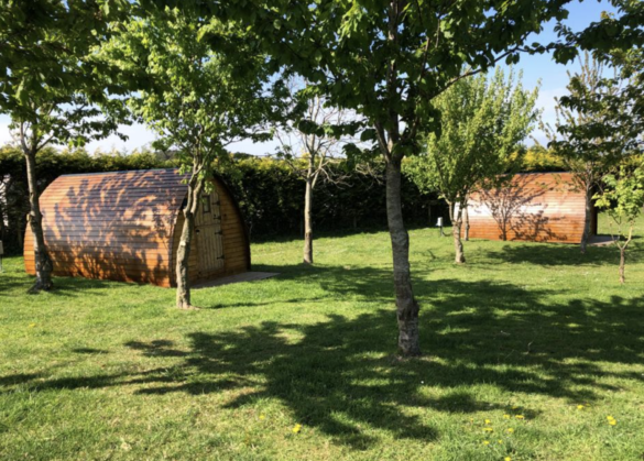 East Creech Farm Campsite's orchard with wooden camping pods
