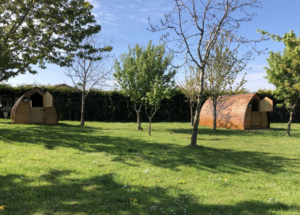 Orchard at East Creech Farm Campsite with timber 'camping pods'