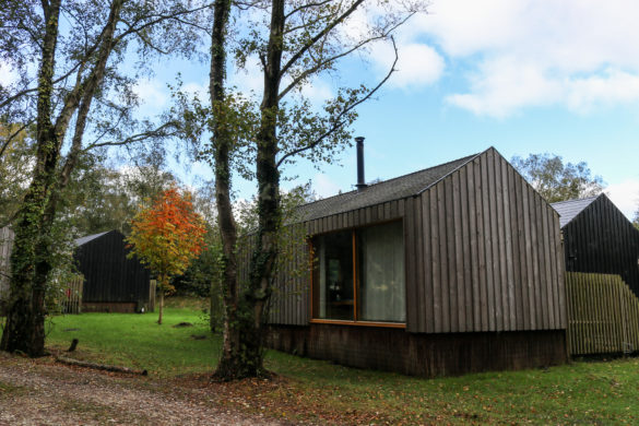 One of Burnbake's award-winning forest lodges amongst the trees, near Rempstone