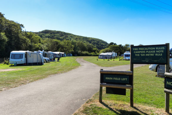 Main field for camping at Norden Farm Campsite