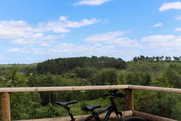 Two bikes against a fence at a Wareham Forest viewpoint