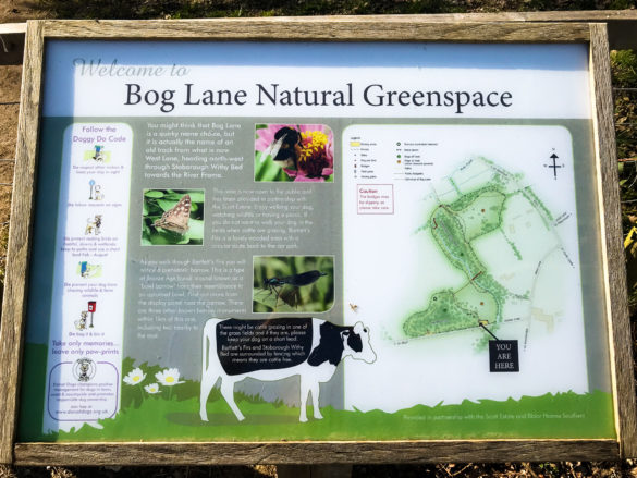 Information board about Bog Lane nature area in Wareham