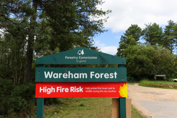 Entrance sign and risk of fires warning sign on the way in to Wareham Forest's Sika trail