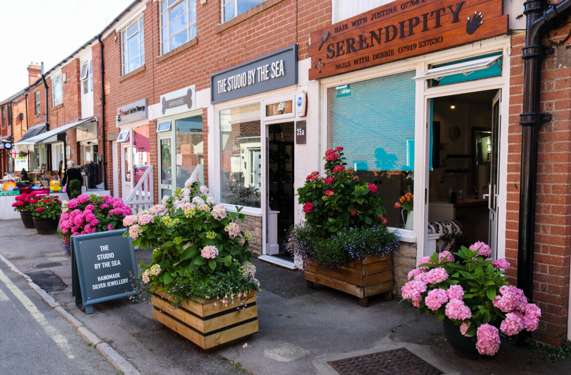 flowers in bloom outside small businesses Serendipity, Studio By The Sea and Shampooches in Swanage