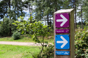Wooden post with way markings for Sika Cycle Trail & Woodlark Walk in Wareham Forest
