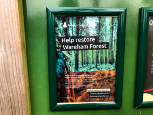 Help restore Wareham Forest sign along the Sika Trail