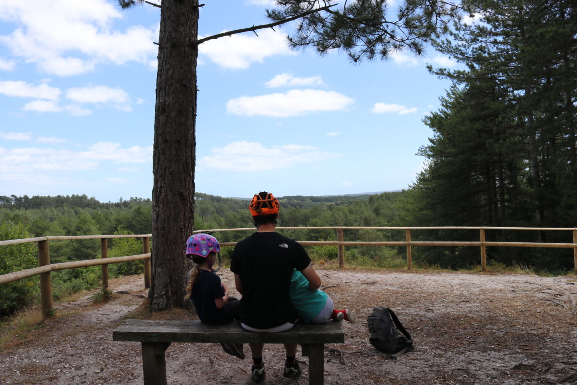Family looking out at the view in Wareham Forest
