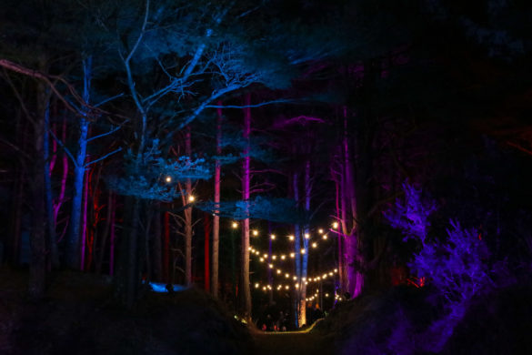 Pathways at The Blue Pool Illuminate are lit by fairy lights