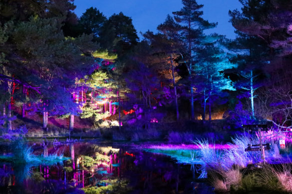 Reflections on the water at The Blue Pool Illuminate
