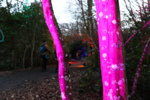 People walking along a woodland path during The Blue Pool Illuminate event