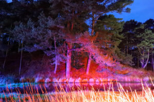 Illuminate at The Blue Pool in Dorset