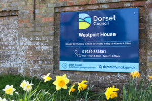 Daffodils in front of a sign outside Dorset Council's Westport House